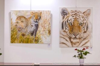 La doppia immagine della tigre scattata da Fabio Preda.